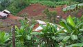 Changmai 07 2013 23
